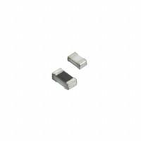 Susumu RG1608N-102-D-T5