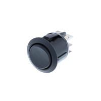 Switch Components RA1-2F-DC-2-B