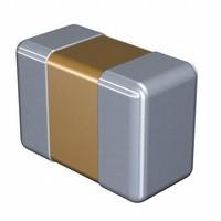 TDK Corporation C1005C0G1H2R5C