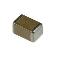 Vishay / Vitramon VJ0402A100GFBAC