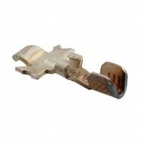 TE Connectivity AMP Connectors 1604113-1