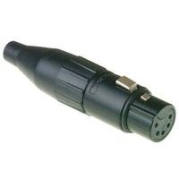 Amphenol Audio AC5FB