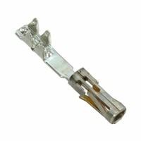 TE Connectivity AMP Connectors 487406-2