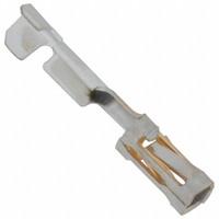 TE Connectivity AMP Connectors 6-102316-4