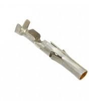 TE Connectivity AMP Connectors 350417-5