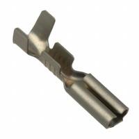 TE Connectivity AMP Connectors 62050-2