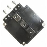 Powerex, Inc. CM600DU-24NF