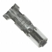 Elesa USA Corporation 440132