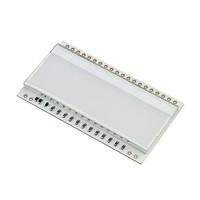 Display Visions EA LED55X31-RGB