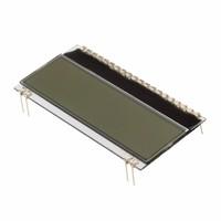 Display Visions EA DOGM081W-A