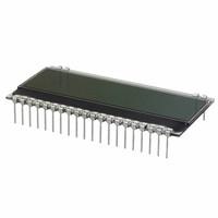 Display Visions EA DOGM132S-5