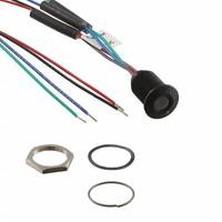 APEM Inc. Q10F5ANZZRGB24ECA