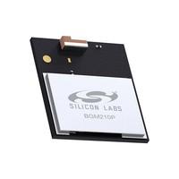 Silicon Labs BGM210P032JIA2
