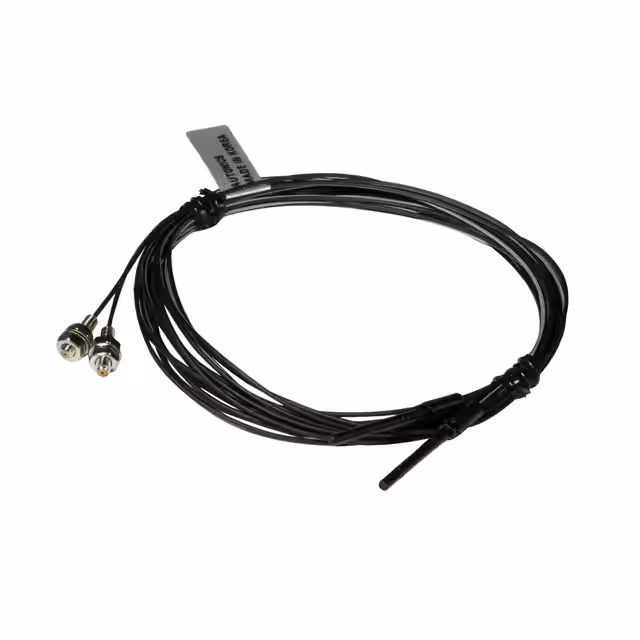 Autonics FT-310-05