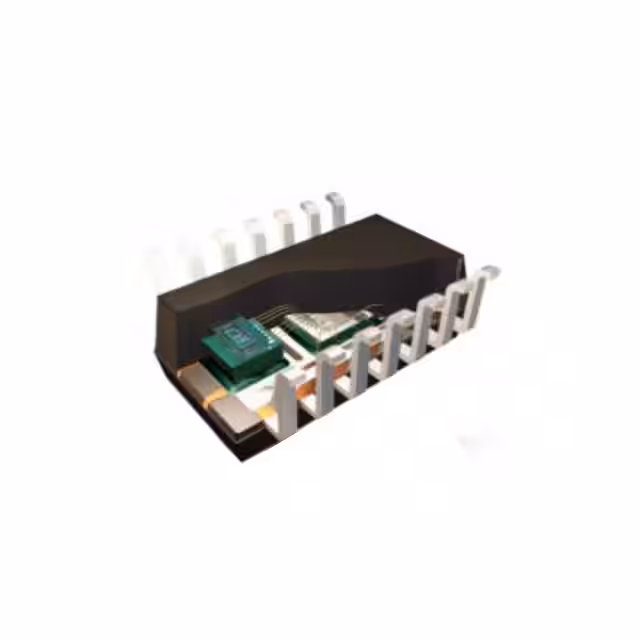 SP370231560XTMA2