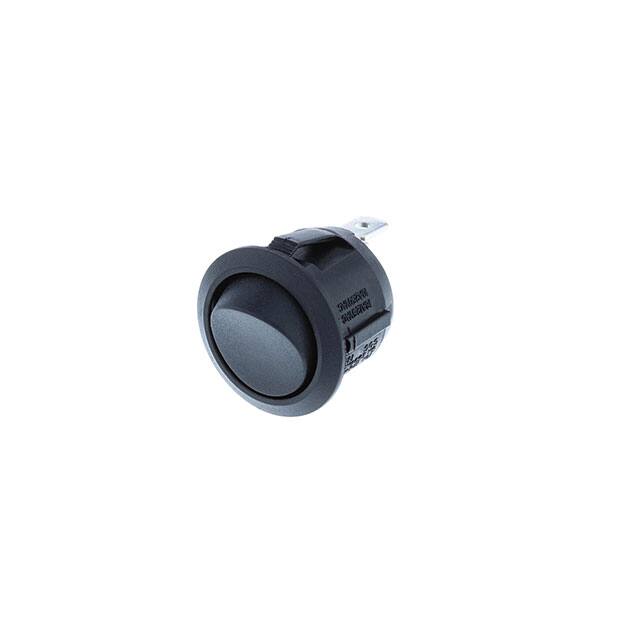 Switch Components RA1-2A-DC-2-B