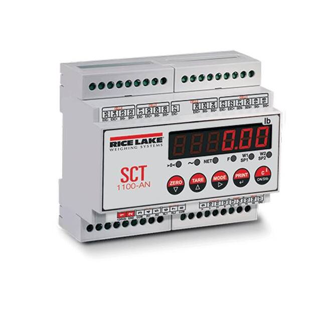 Rice Lake Weighing Systems 202101