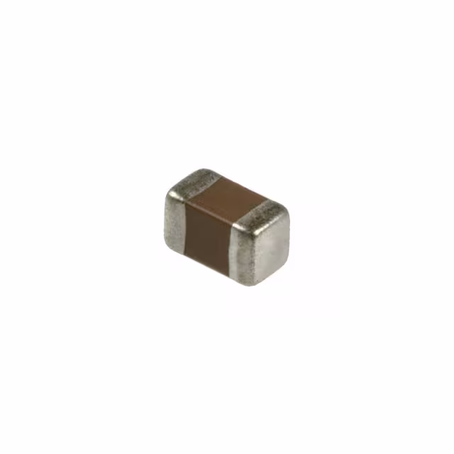 EPCOS (TDK) B37641C8106K062