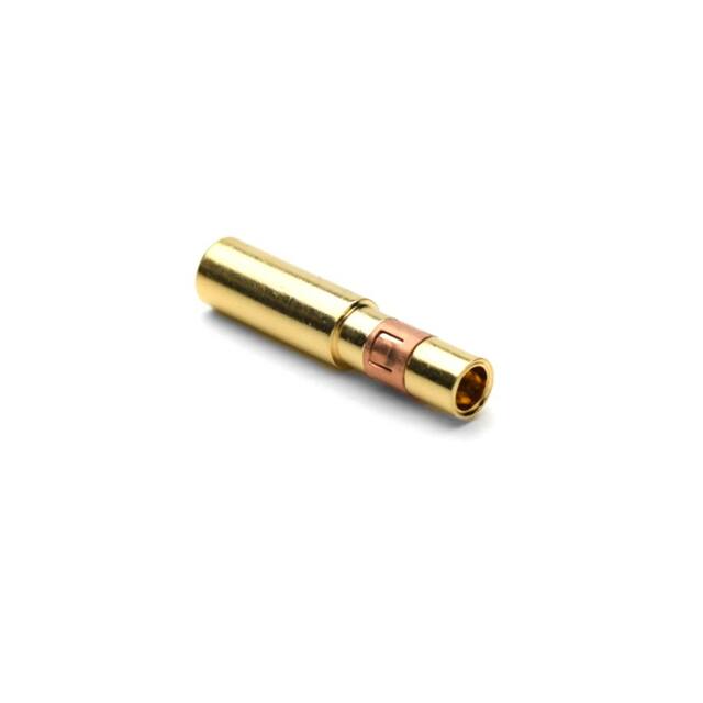 MS10B23G10