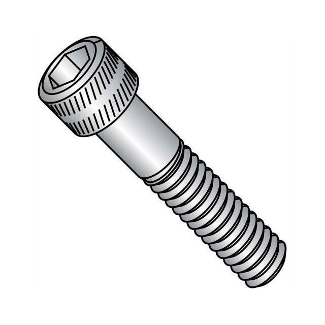 Brighton-Best B2100521