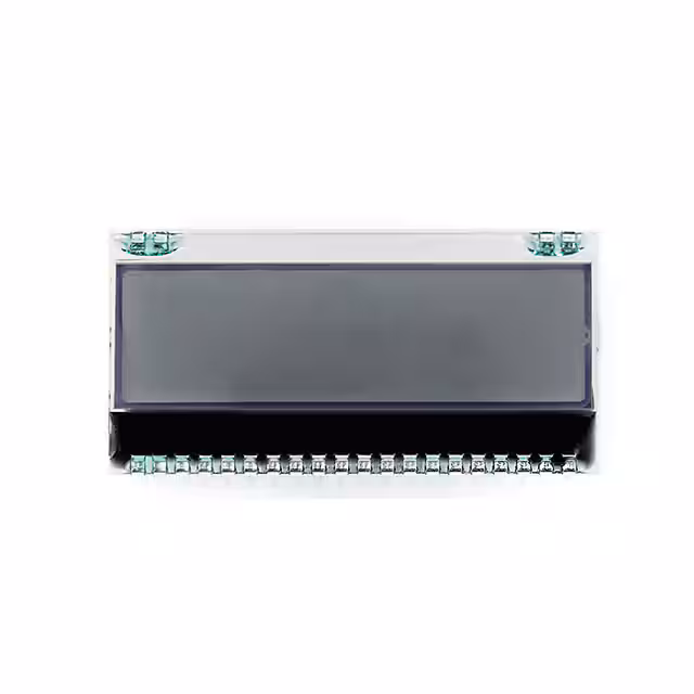 Focus LCDs C81BLGFGN06CT30XAG