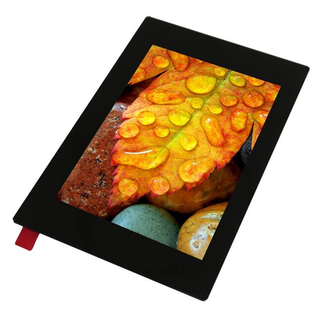 Display Visions EA TFT035-34AITC
