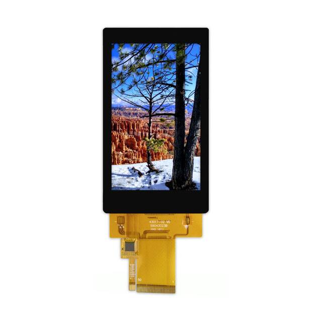 Focus LCDs E43RG64880LWAM450-C